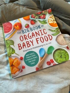 The Big Book of Organic Baby Food by Stephanie Middleberg - Colorful Cover